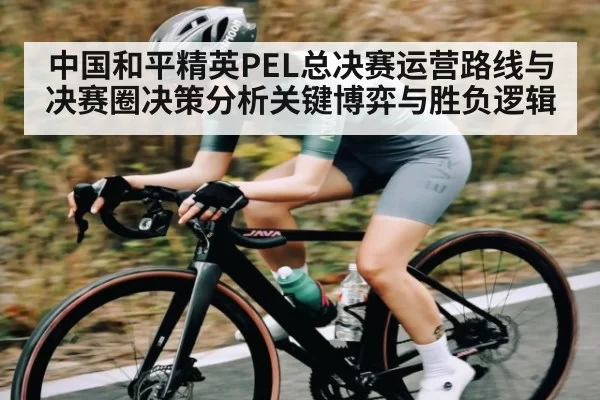 中国和平精英PEL总决赛运营路线与决赛圈决策分析关键博弈与胜负逻辑